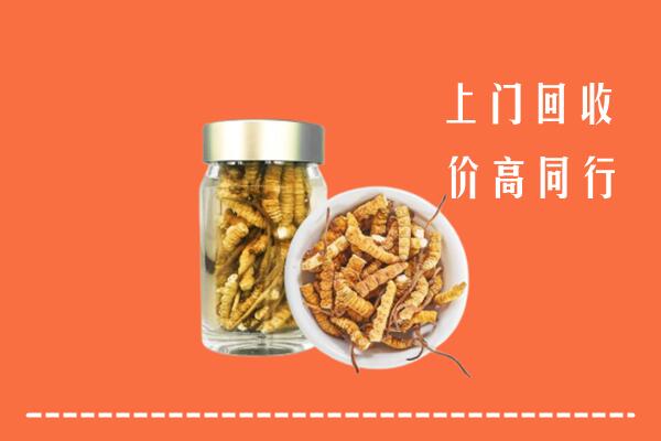阿坝州小金回收冬虫夏草